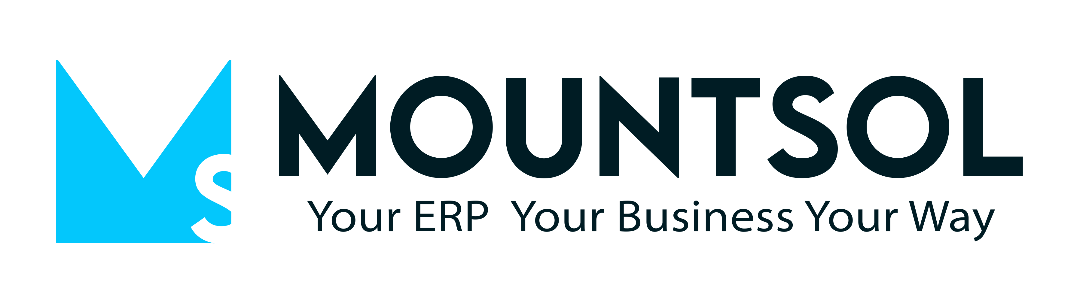 Mountsol — Your ERP Your Business Your Way