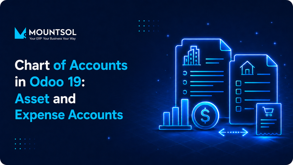 Chart of Accounts in Odoo 19: Asset and Expense Accounts